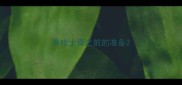 养哈士奇之前的准备