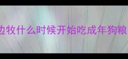 边牧什么时候开始吃成年狗粮