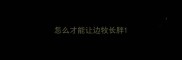 怎么才能让边牧长胖