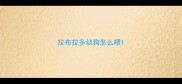 拉布拉多幼狗怎么喂