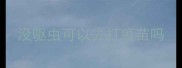 没驱虫可以去打疫苗吗
