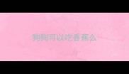狗狗可以吃香蕉么
