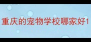 重庆的宠物学校哪家好