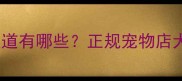购买幼犬渠道有哪些正规宠物店犬只来源全