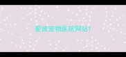 爱彼宠物医院网站