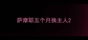 萨摩耶五个月换主人