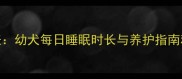 2个月大狗狗睡眠时间表幼犬每日睡眠时长与养护指南科学喂养与行为观察全