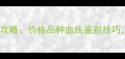 泰迪犬选购全攻略价格品种血统鉴别技巧新手必看