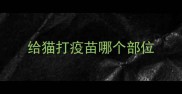 给猫打疫苗哪个部位