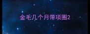 金毛几个月带项圈