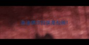 泰迪偶尔拉屎是拉稀