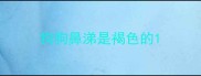 狗狗鼻涕是褐色的