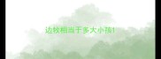 边牧相当于多大小孩