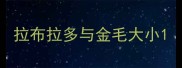 拉布拉多与金毛大小