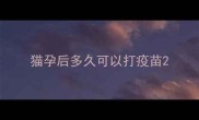 猫孕后多久可以打疫苗