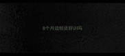 8个月边牧还好训吗