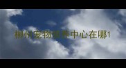 柳州宠物领养中心在哪
