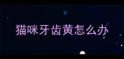 猫咪牙齿黄怎么办