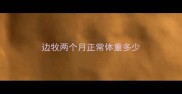 边牧两个月正常体重多少