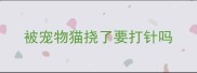 被宠物猫挠了要打针吗