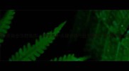 小金毛驱虫疫苗全流程指南科学养护关键步骤与注意事项附疫苗种类选择表