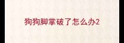 狗狗脚掌破了怎么办