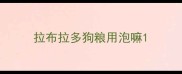 拉布拉多狗粮用泡嘛