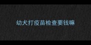 幼犬打疫苗检查要钱嘛