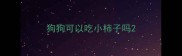 狗狗可以吃小柿子吗