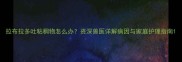 拉布拉多吐粘稠物怎么办资深兽医详解病因与家庭护理指南