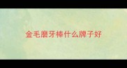 金毛磨牙棒什么牌子好
