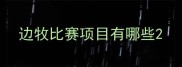 边牧比赛项目有哪些