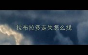 拉布拉多走失怎么找