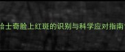 哈士奇脸上红斑的识别与科学应对指南