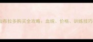 冠军级拉布拉多购买全攻略血统价格训练技巧大公开