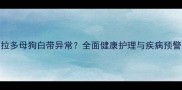 拉布拉多母狗白带异常全面健康护理与疾病预警指南