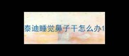 泰迪睡觉鼻子干怎么办
