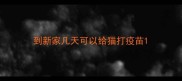 到新家几天可以给猫打疫苗