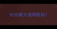 杭州最大宠物医院
