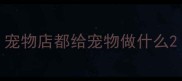 宠物店都给宠物做什么
