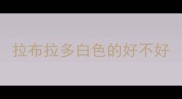 拉布拉多白色的好不好