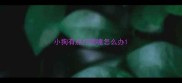 小狗有点打喷嚏怎么办