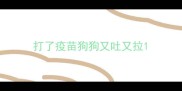 打了疫苗狗狗又吐又拉