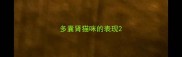 多囊肾猫咪的表现
