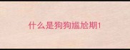 什么是狗狗尴尬期