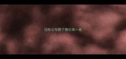 边牧公母那个售价高一些