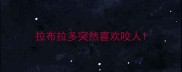 拉布拉多突然喜欢咬人