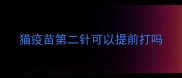 猫疫苗第二针可以提前打吗