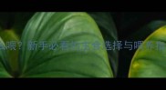 40天大拉布拉多该怎么喂新手必看的主食选择与喂养指南附全阶段食谱