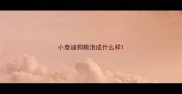 小泰迪狗粮泡成什么样